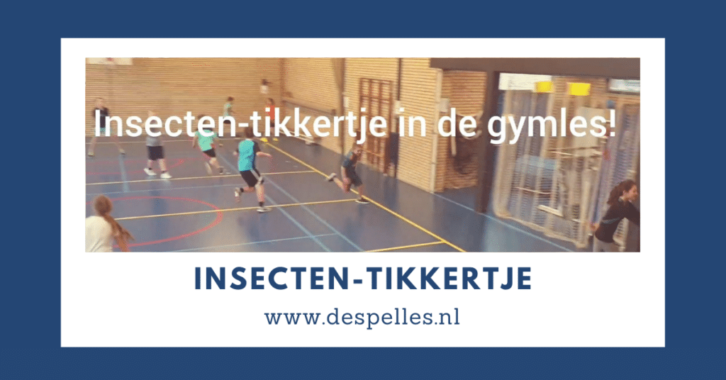 Insecten-tikkertje in de gymles