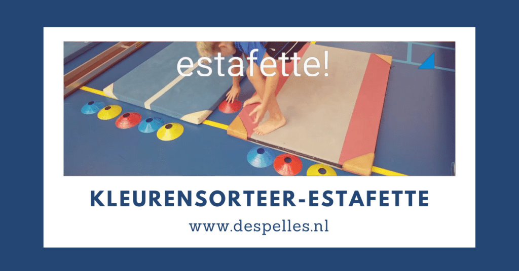 Kleurensorteer-estafette in de gymles