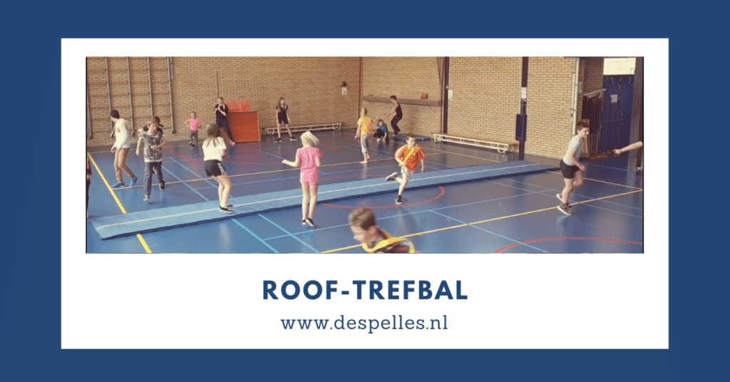 Roof-Trefbal in de gymles