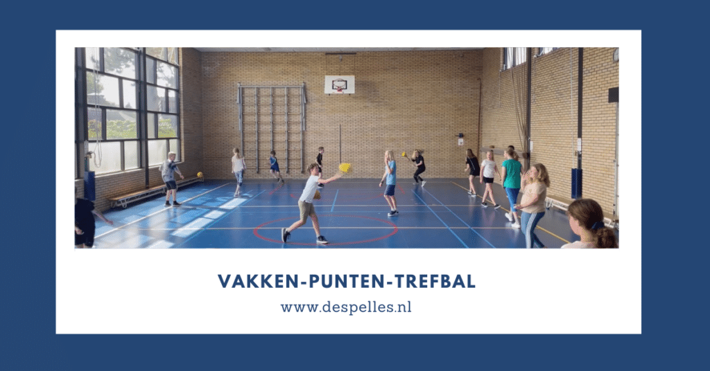 Vakken-Punten-Trefbal in de gymles