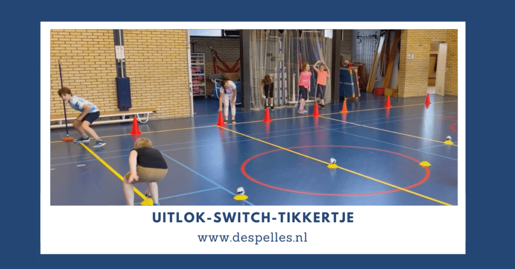 Uitlok-Switch-Tikkertje in de gymles