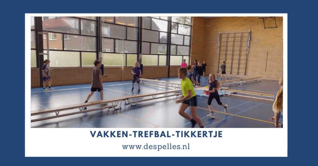 Vakken-Trefbal-Tikkertje in de gymles