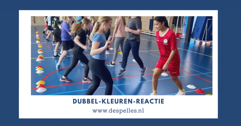 Dubbel-Kleuren-Reactie in de gymles